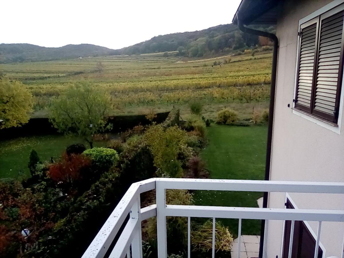 דירות Top Over Vienna, Perchtoldsdorf Weinberge Ideal With Car מראה חיצוני תמונה