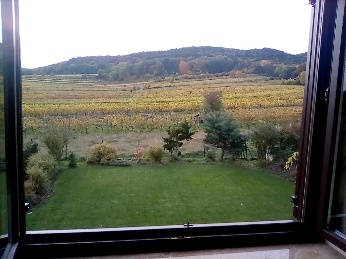 דירות Top Over Vienna, Perchtoldsdorf Weinberge Ideal With Car מראה חיצוני תמונה