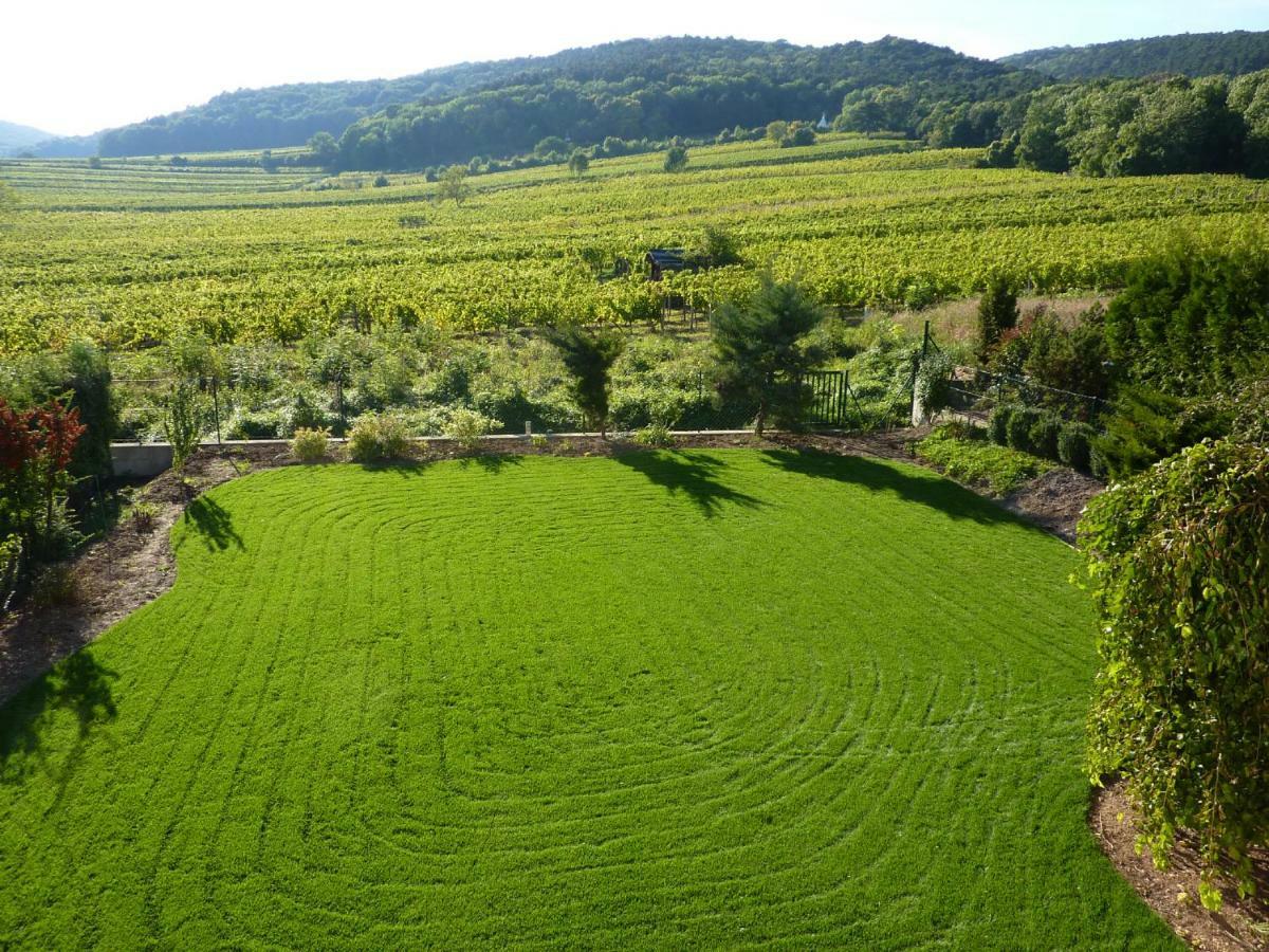 דירות Top Over Vienna, Perchtoldsdorf Weinberge Ideal With Car מראה חיצוני תמונה