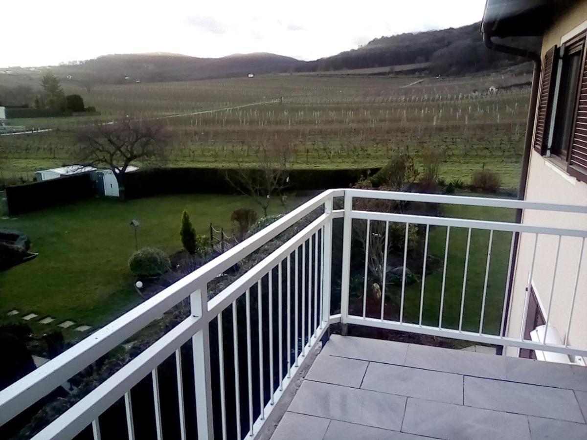 דירות Top Over Vienna, Perchtoldsdorf Weinberge Ideal With Car מראה חיצוני תמונה